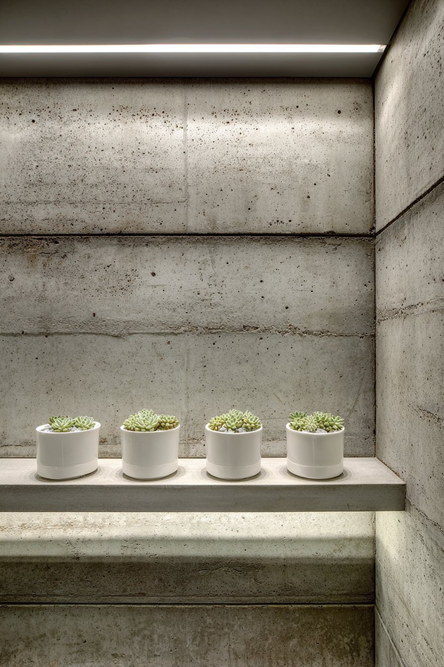 Modern Minimalist Troweled Concrete with Succulent Planters