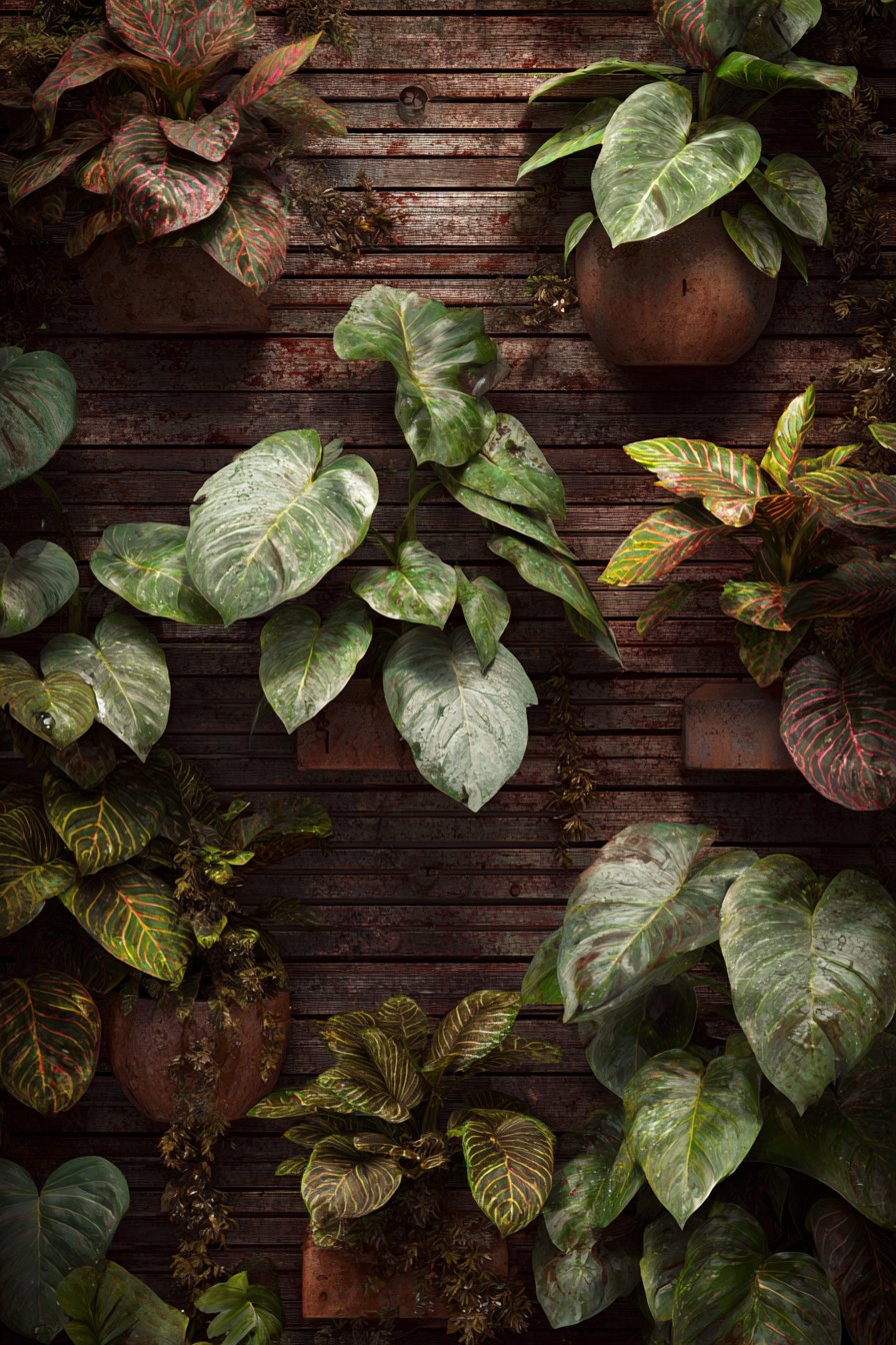 Tropical Modern Vertical Garden with Misting System