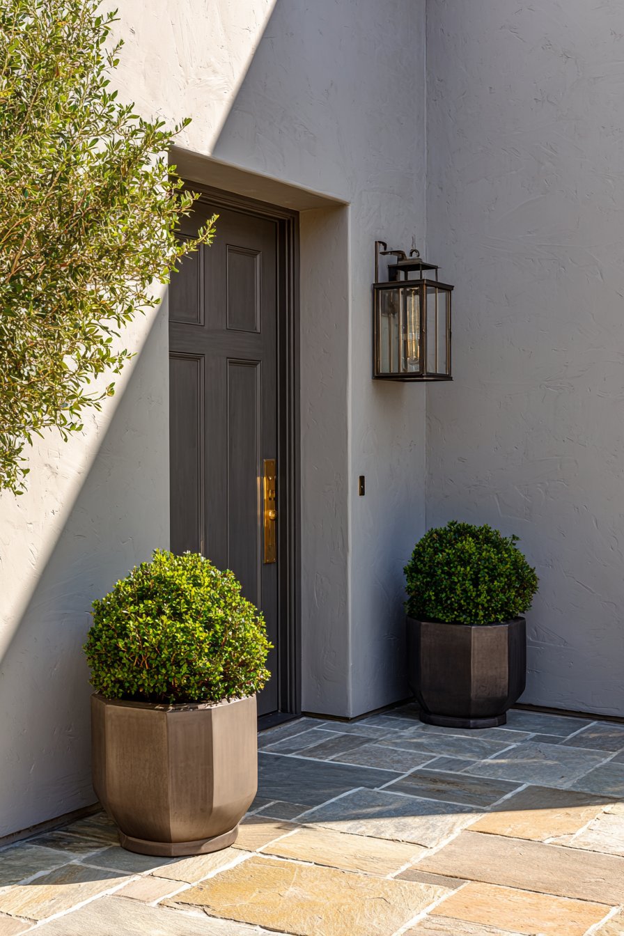 Transitional Charcoal Brass