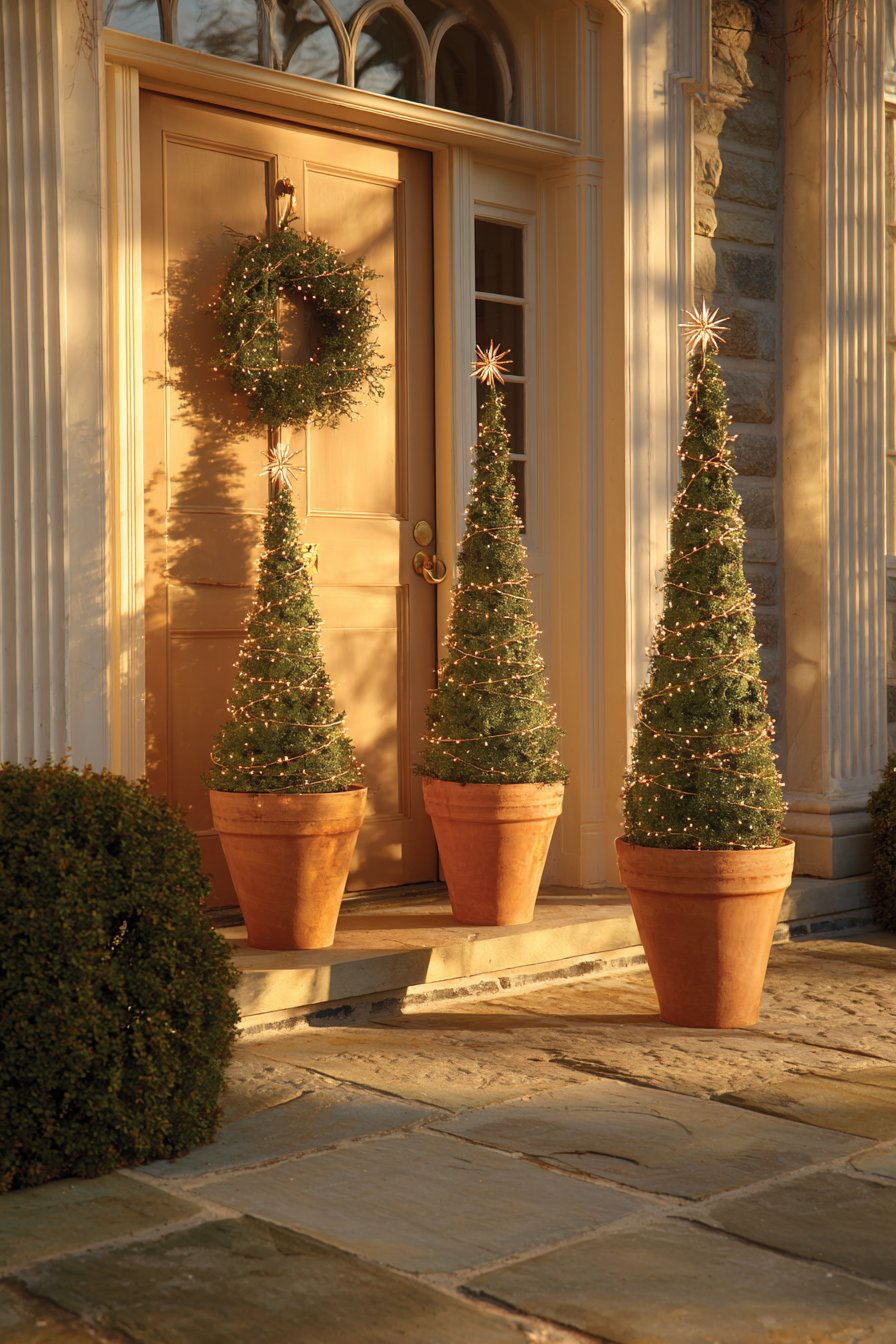 Elegant Topiary with Minimal Embellishment