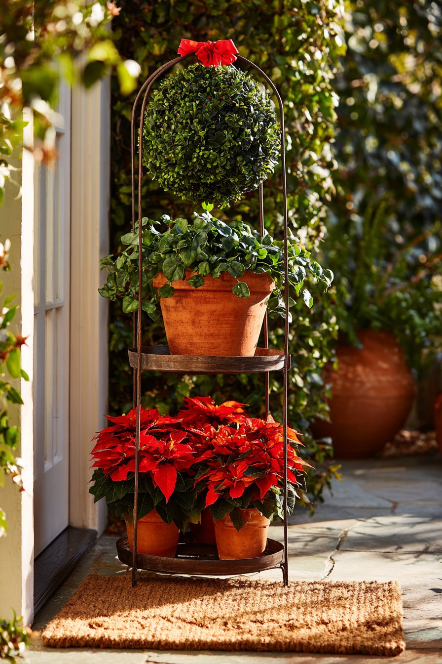 Traditional Kissing Ball with Poinsettia Display