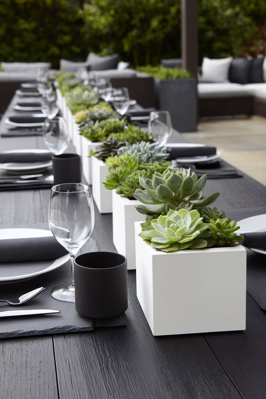 Modern Minimalist Monochrome