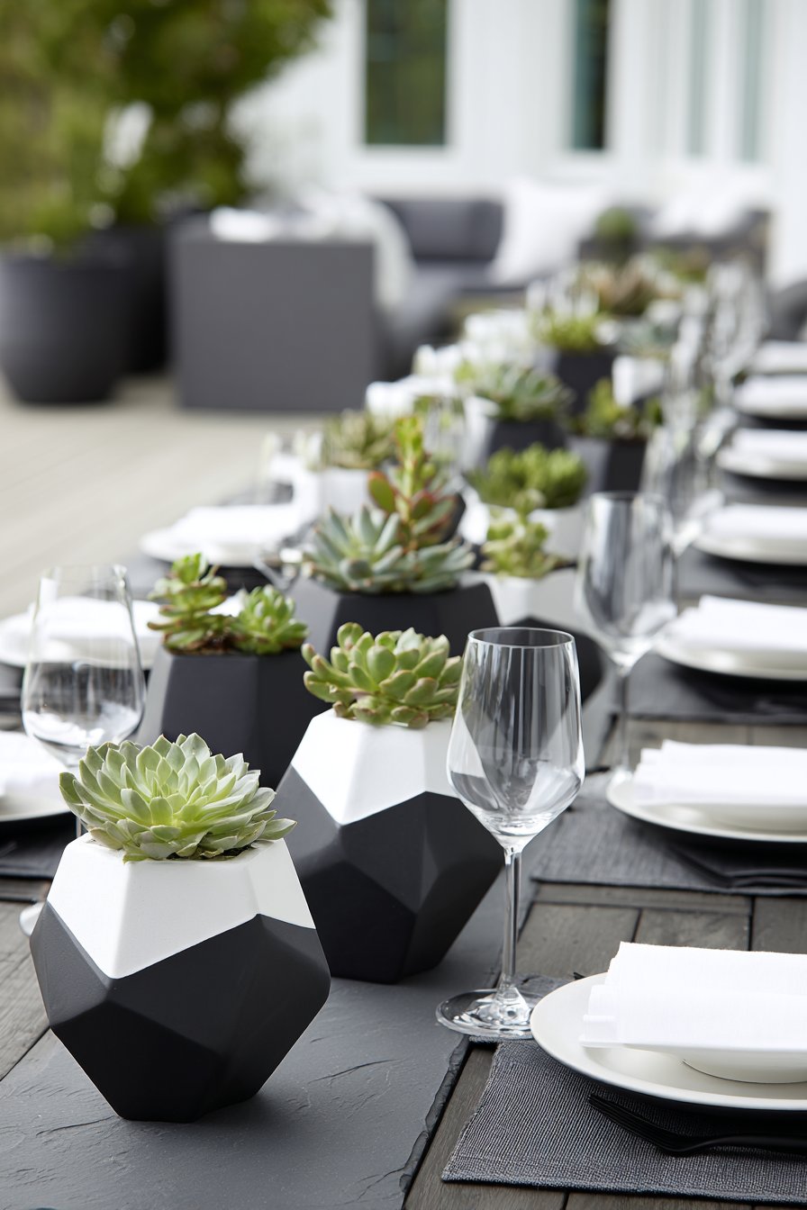 Modern Minimalist Monochrome