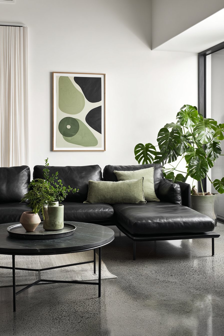 Minimalist Black Leather Against White with Single Monstera